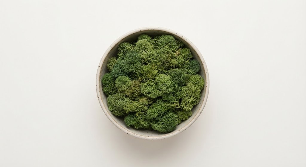 Preserved Moss Bowl